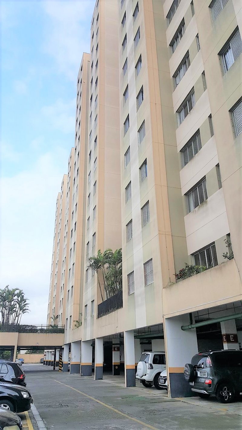 Apartamento - Aluguel - Jardim Cláudia - São Paulo - SP