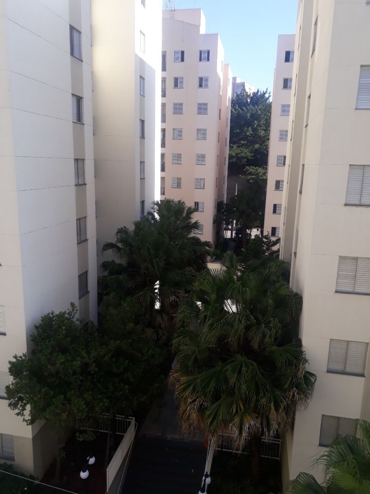 Apartamento - Venda - Vila Lageado - São Paulo - SP